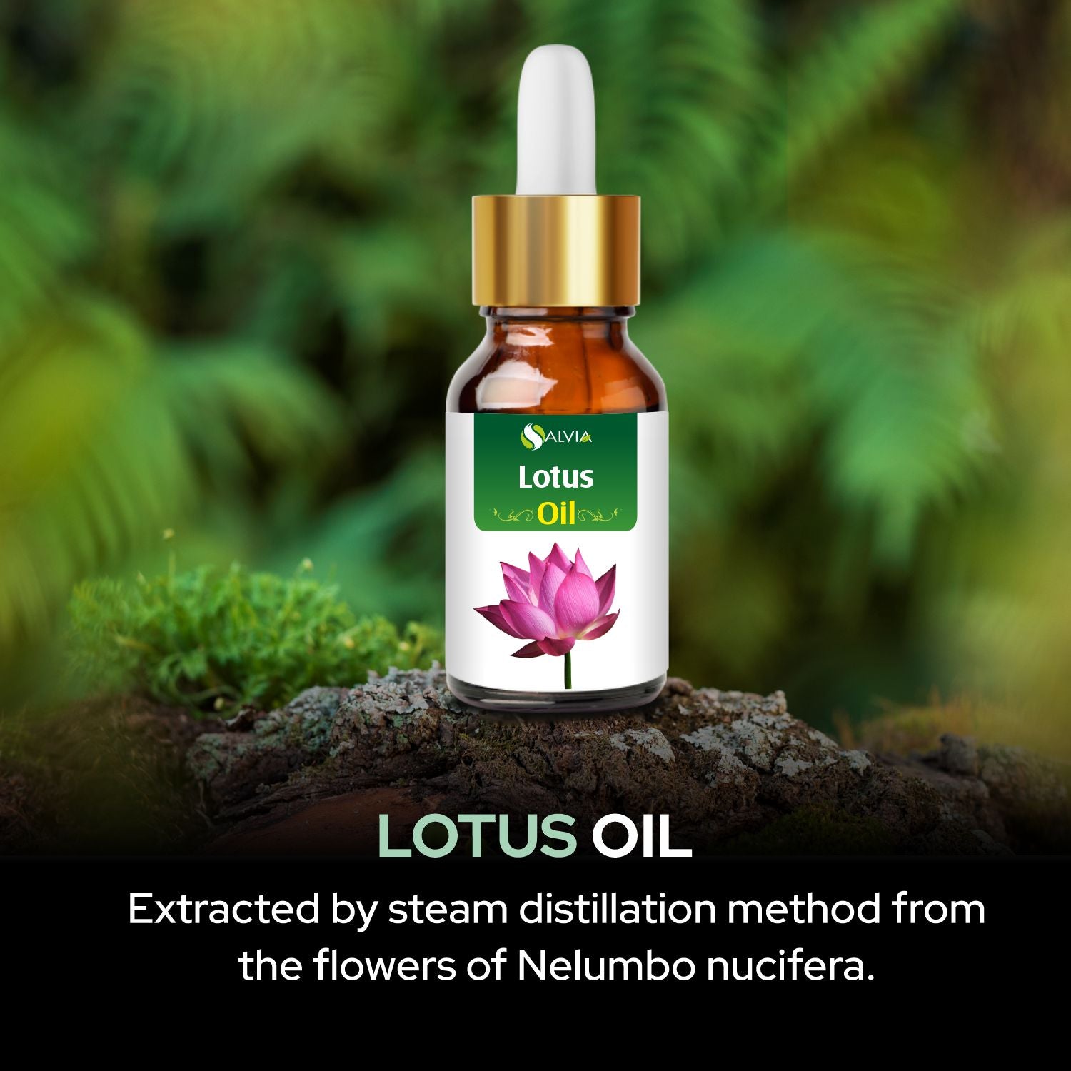 Salvia Natural Essential Oils,Dandruff,Greasy Oil,Anti Fungal,Anti-fungal Oil,Oil for Greasy Hair Lotus Oil Salvia Natural Essential Oils,Dandruff,Greasy Oil,Anti Fungal,Anti-fungal Oil,Oil for Greasy Hair Lotus Oil